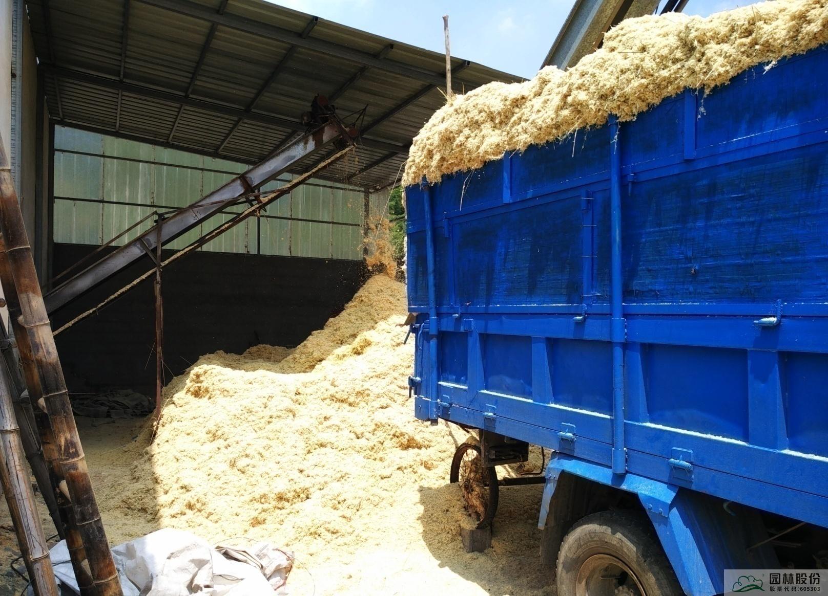 彩运网(中国游)官方网站