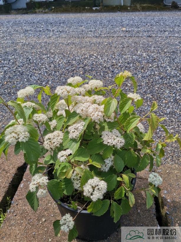 彩运网(中国游)官方网站