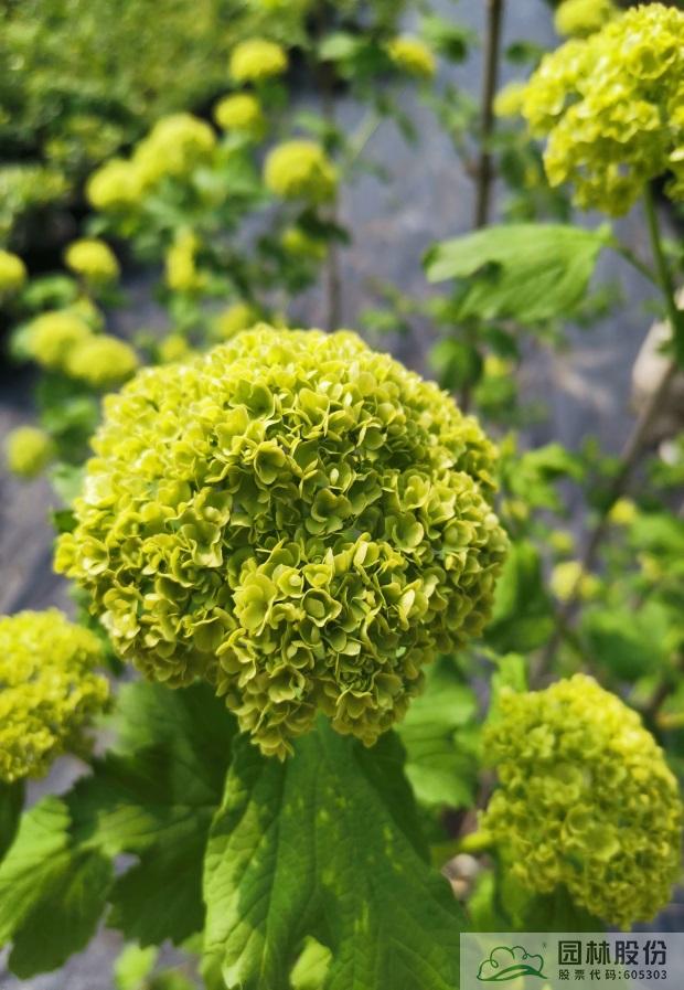 彩运网(中国游)官方网站