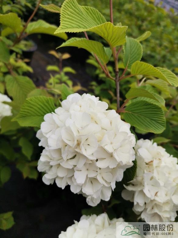 彩运网(中国游)官方网站