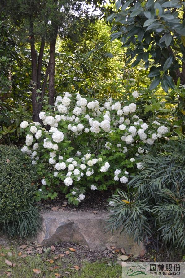 彩运网(中国游)官方网站