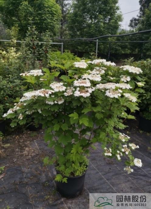 彩运网(中国游)官方网站