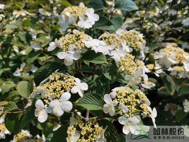 彩运网(中国游)官方网站