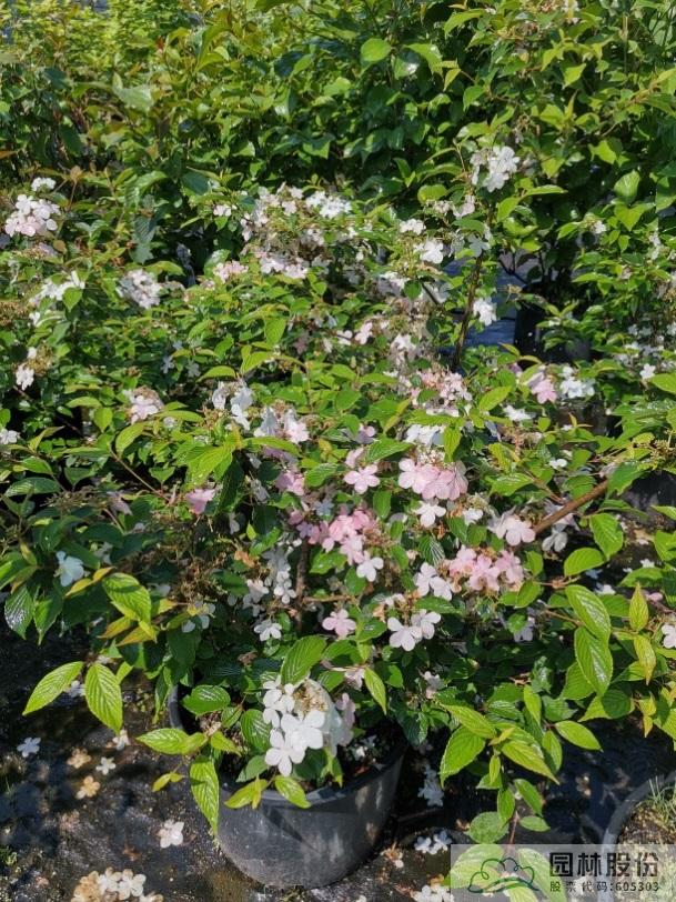 彩运网(中国游)官方网站