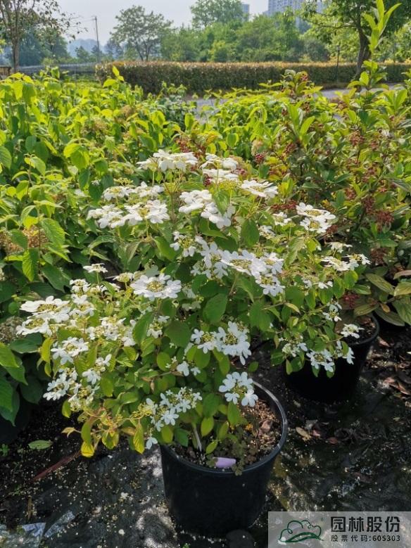 彩运网(中国游)官方网站