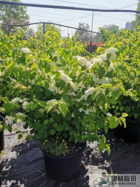 彩运网(中国游)官方网站