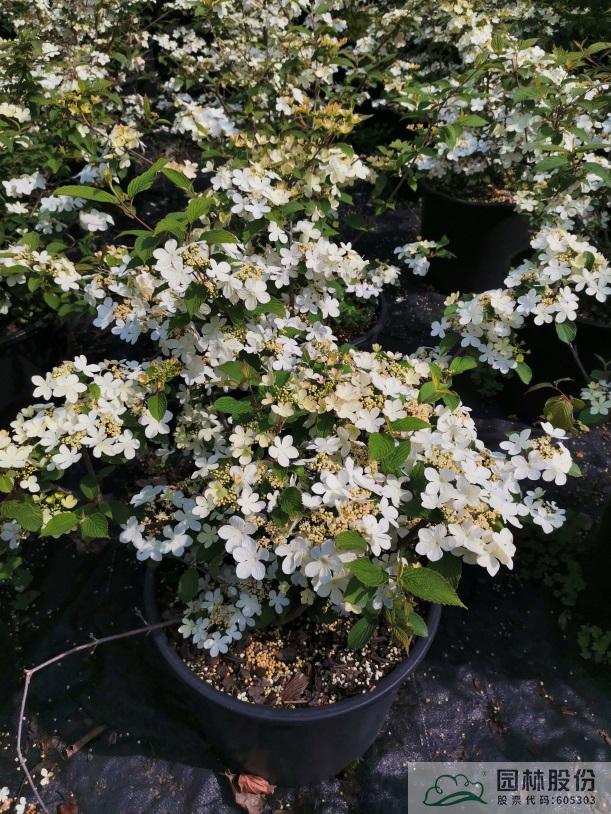 彩运网(中国游)官方网站