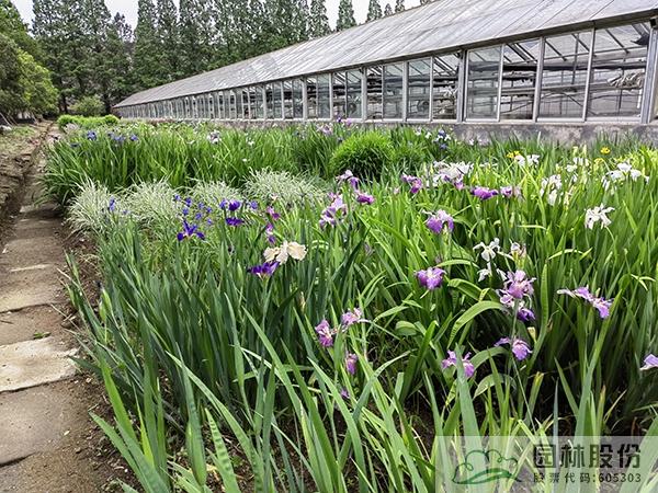 彩运网(中国游)官方网站