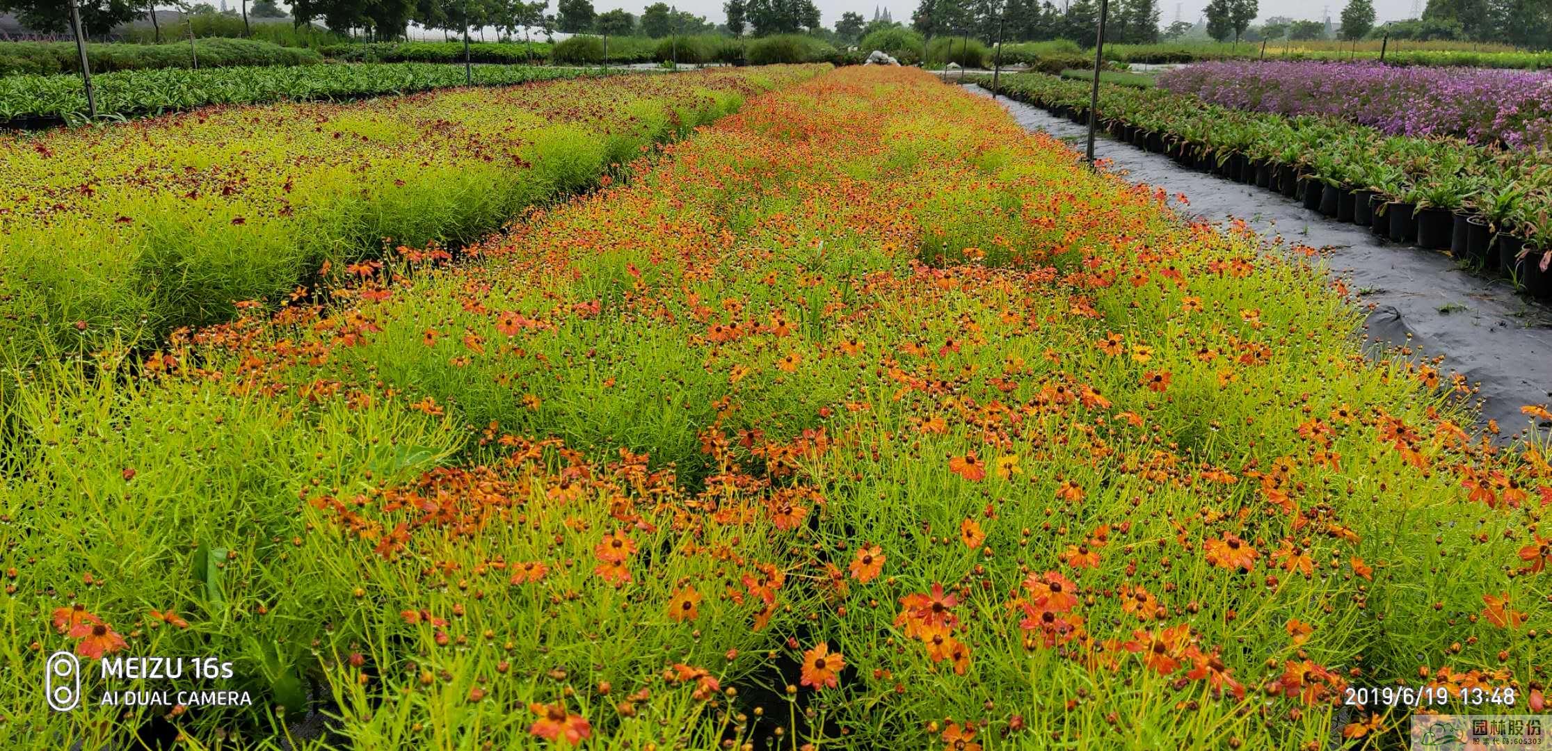 彩运网(中国游)官方网站