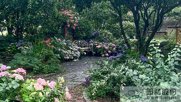 彩运网(中国游)官方网站