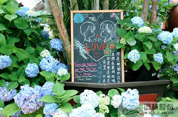 彩运网(中国游)官方网站