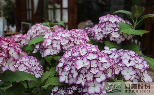 彩运网(中国游)官方网站