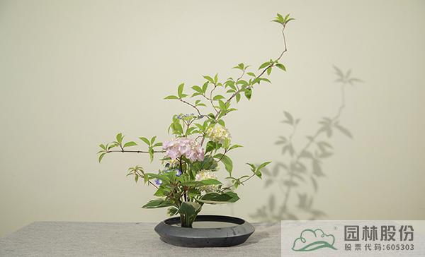 彩运网(中国游)官方网站