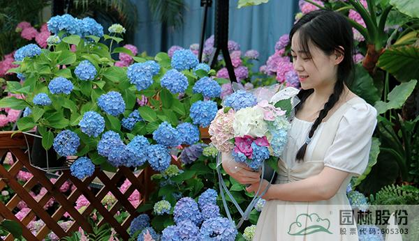 彩运网(中国游)官方网站