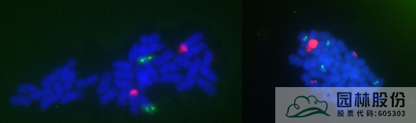 彩运网(中国游)官方网站