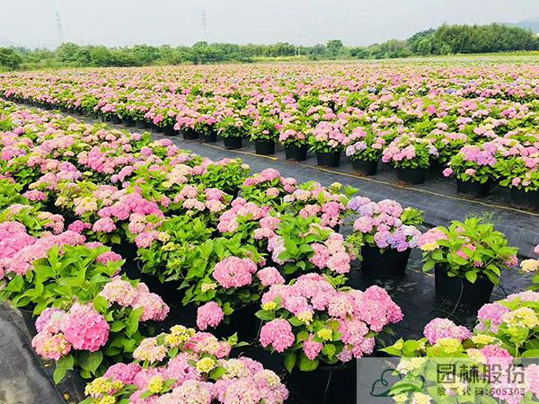 彩运网(中国游)官方网站