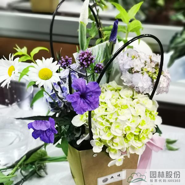 彩运网(中国游)官方网站