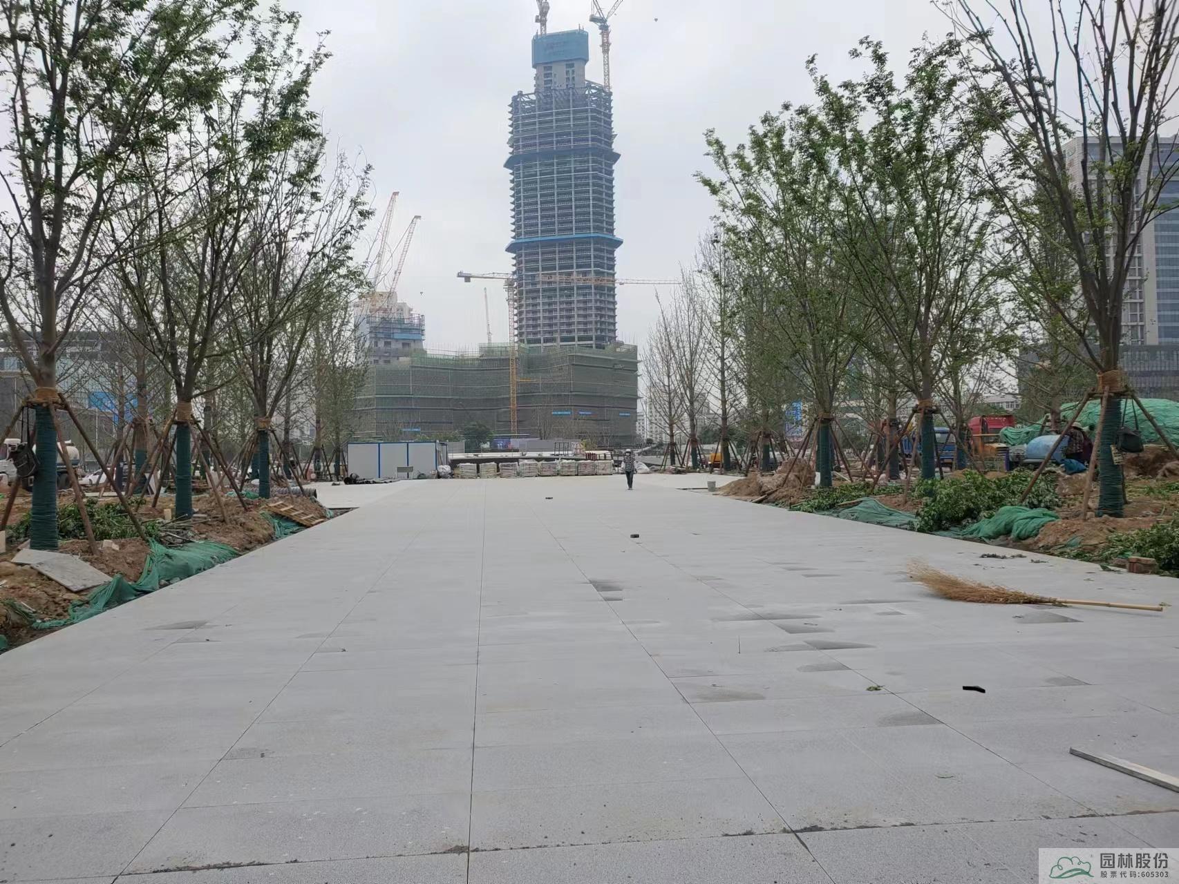 彩运网(中国游)官方网站