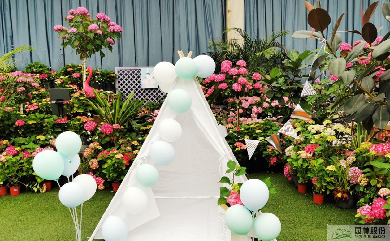 彩运网(中国游)官方网站