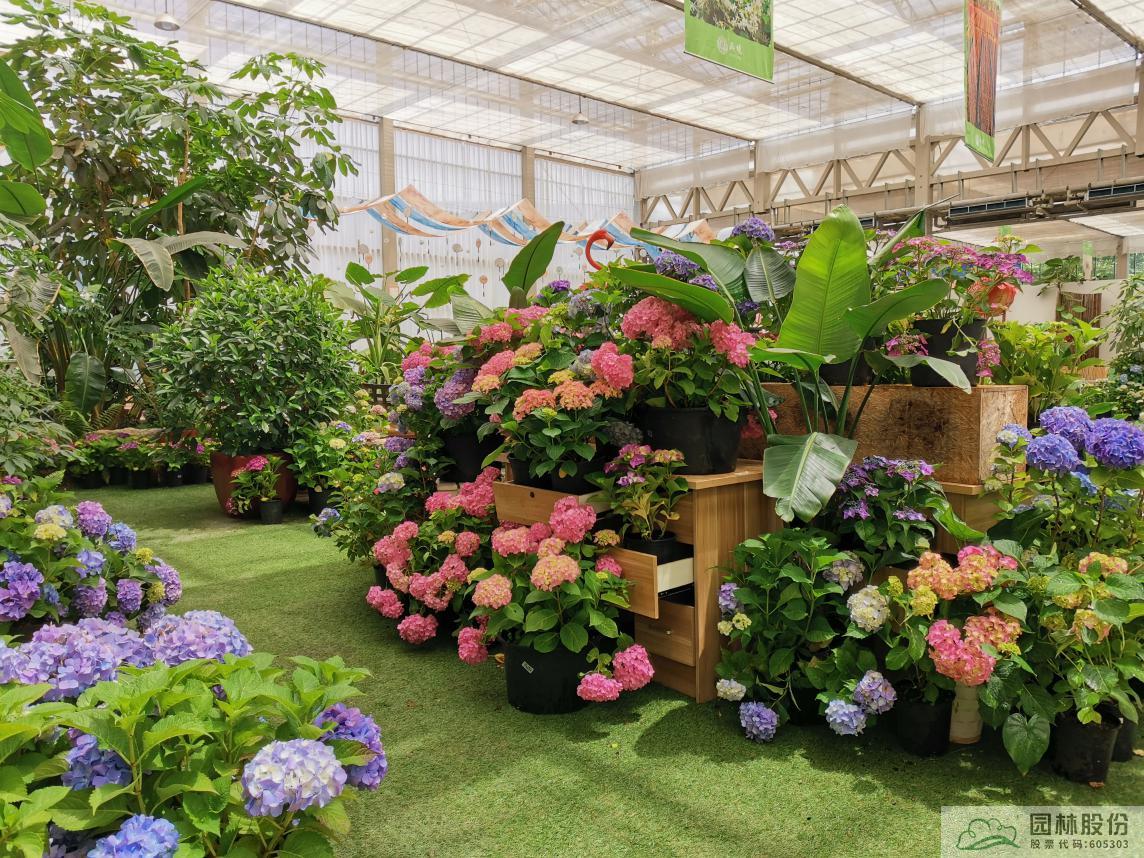 彩运网(中国游)官方网站