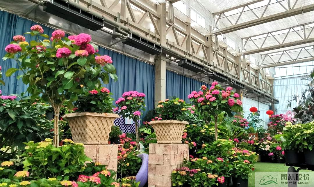 彩运网(中国游)官方网站