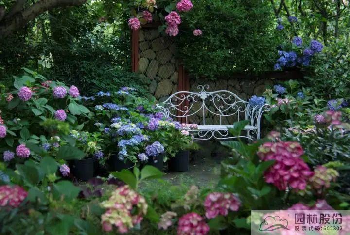 彩运网(中国游)官方网站