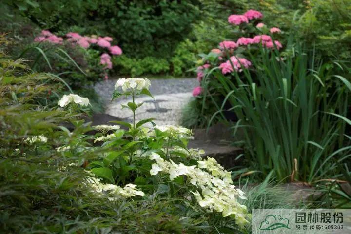 彩运网(中国游)官方网站