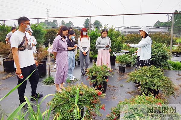 彩运网(中国游)官方网站