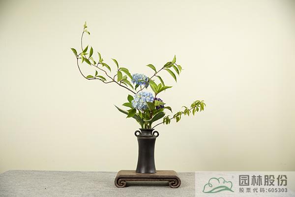 彩运网(中国游)官方网站