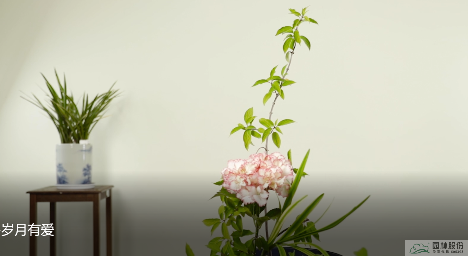 彩运网(中国游)官方网站