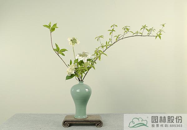 彩运网(中国游)官方网站