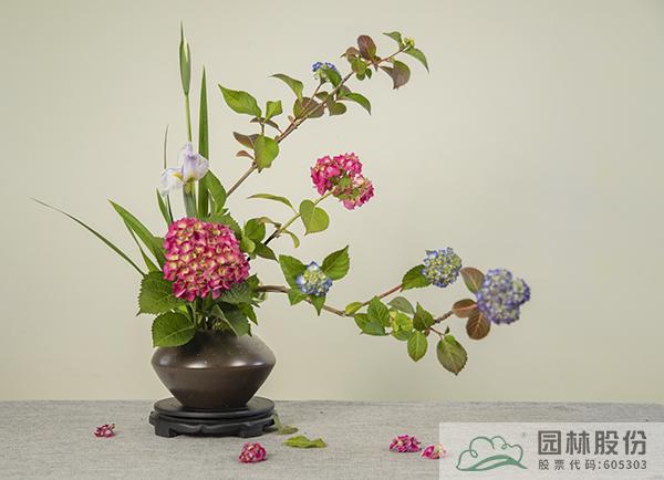 彩运网(中国游)官方网站