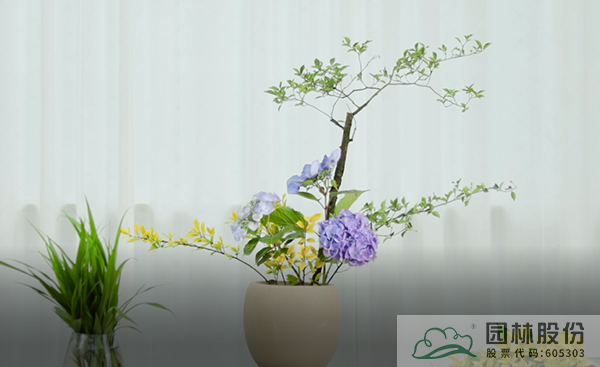 彩运网(中国游)官方网站