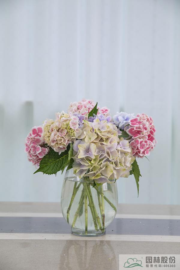 彩运网(中国游)官方网站