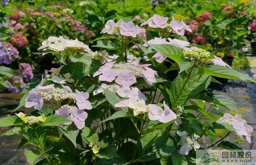 彩运网(中国游)官方网站