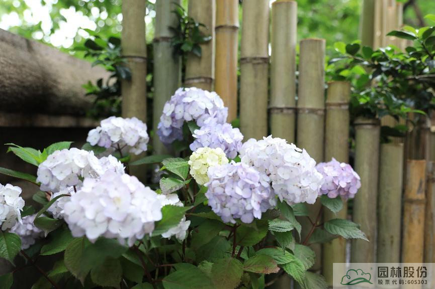 彩运网(中国游)官方网站