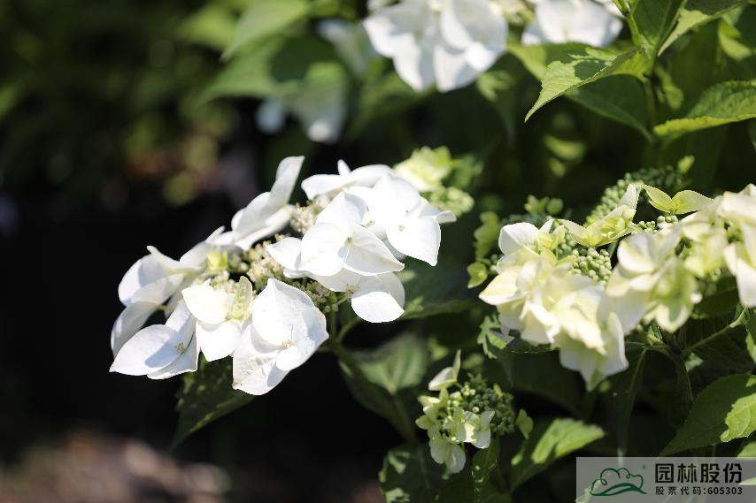 彩运网(中国游)官方网站