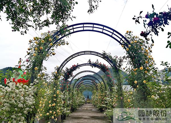 彩运网(中国游)官方网站