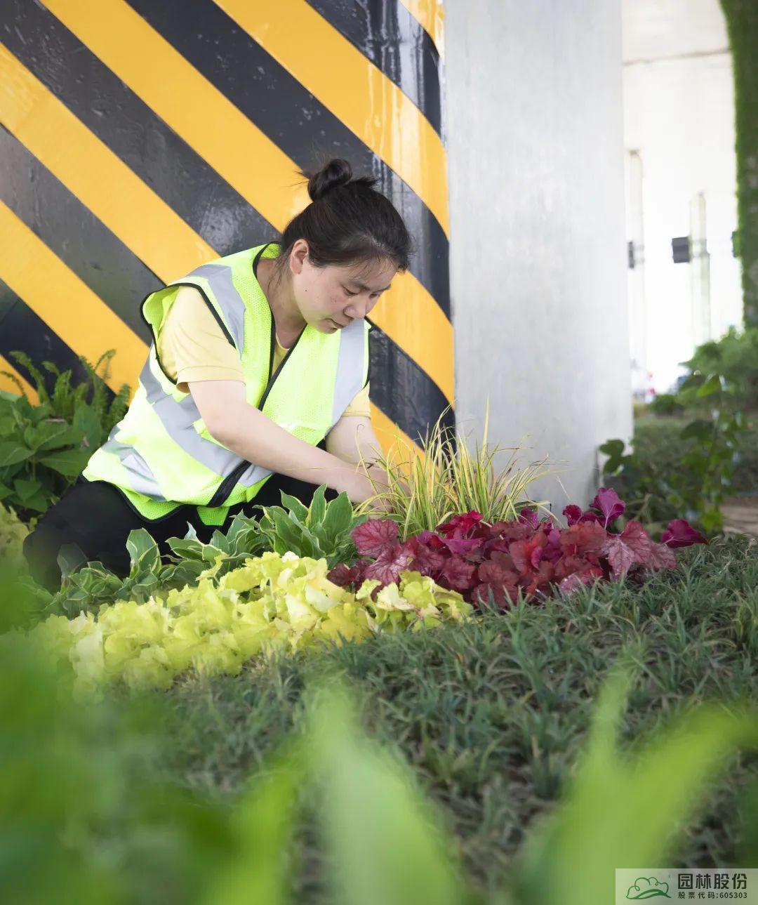 彩运网(中国游)官方网站