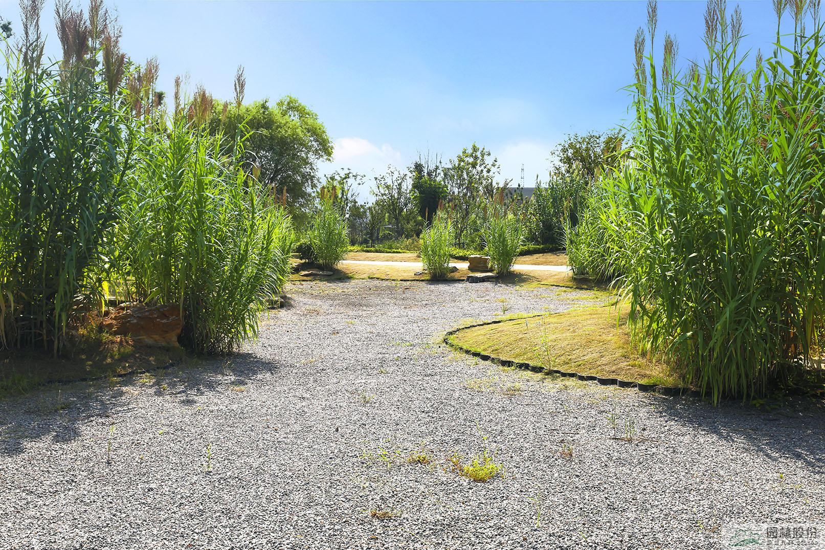 彩运网(中国游)官方网站