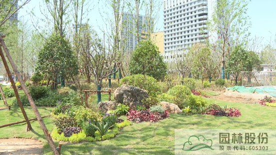 彩运网(中国游)官方网站