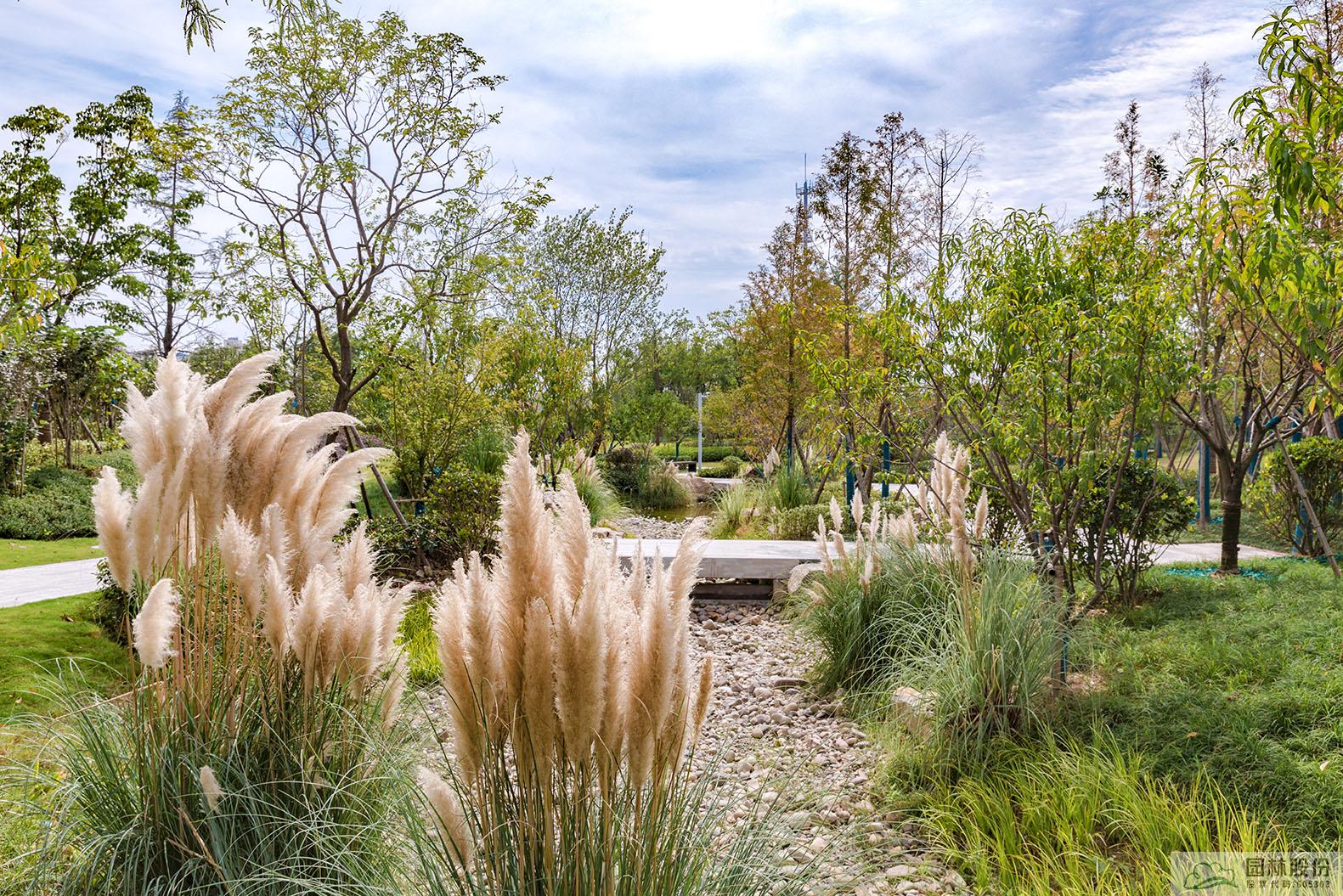 彩运网(中国游)官方网站