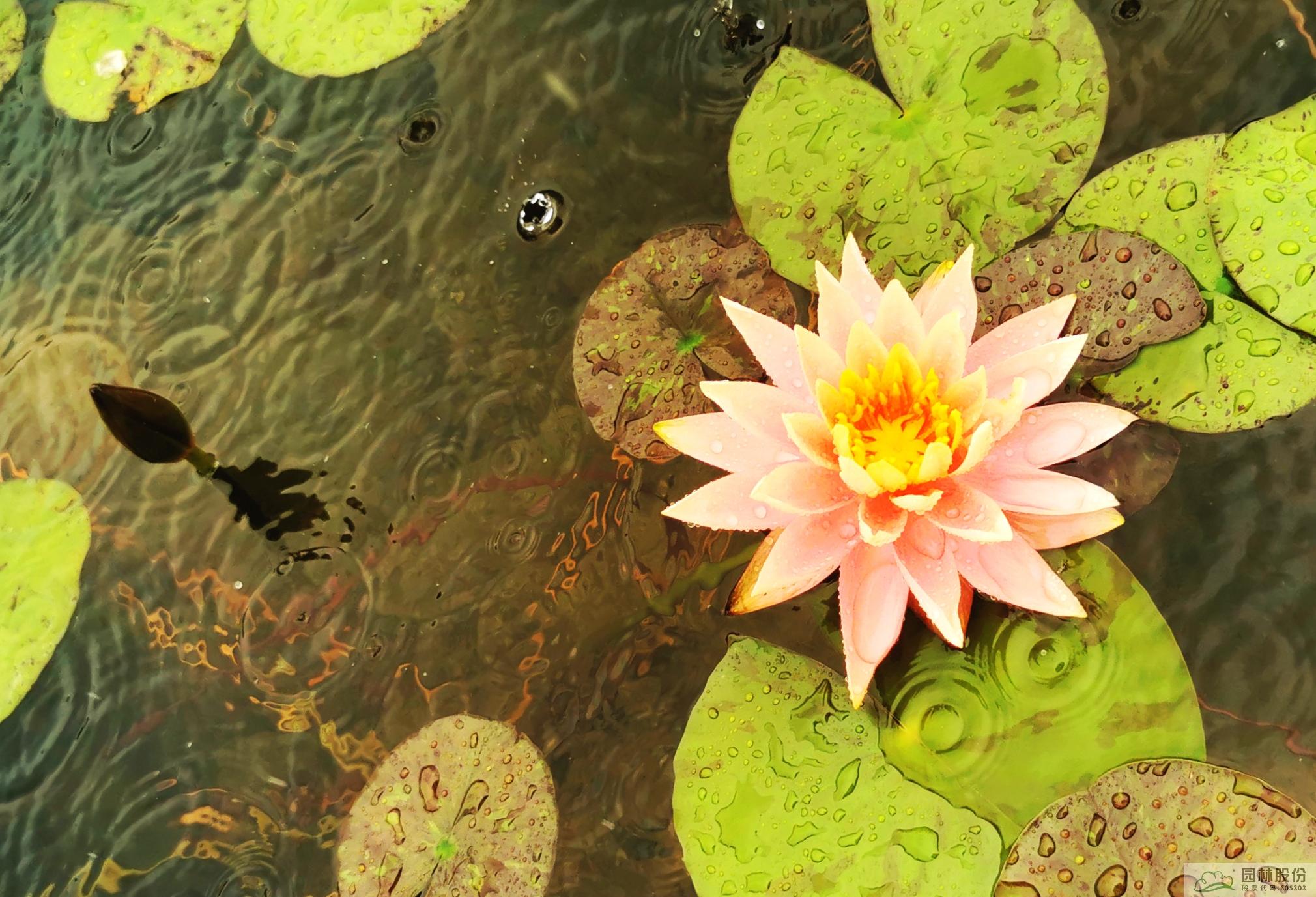 彩运网(中国游)官方网站