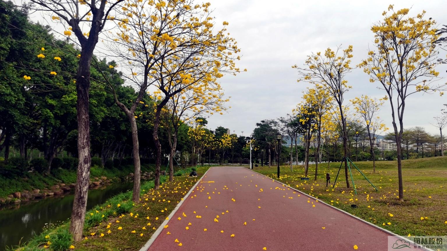 彩运网(中国游)官方网站