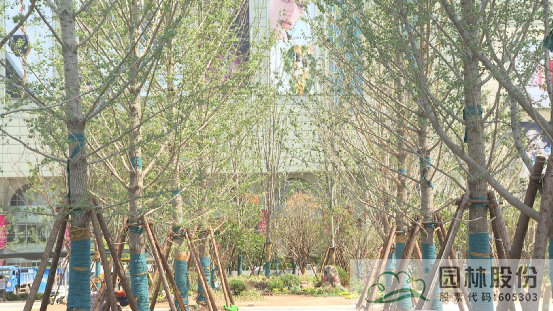 彩运网(中国游)官方网站