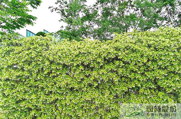 彩运网(中国游)官方网站