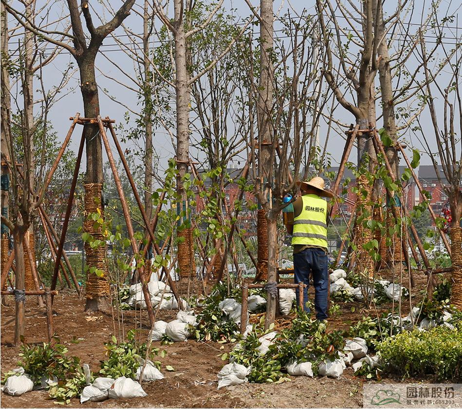 彩运网(中国游)官方网站