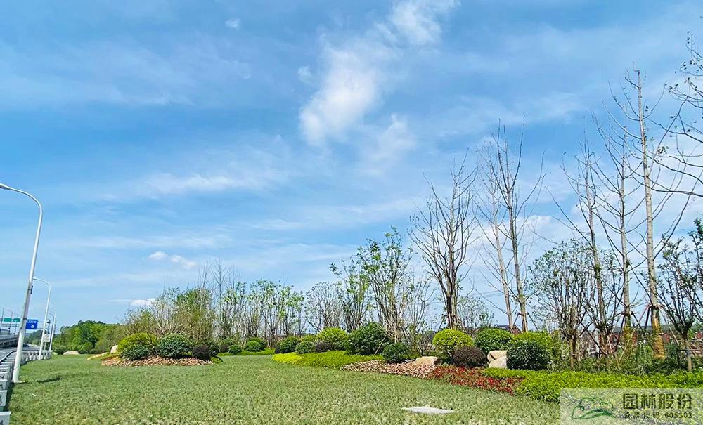 彩运网(中国游)官方网站