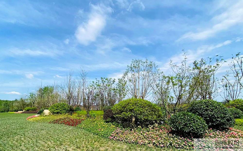 彩运网(中国游)官方网站