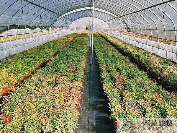 彩运网(中国游)官方网站